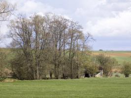 Ligne Maginot - A95BIS - TETAIGNE B - (Blockhaus lourd type STG / STG-FCR - Double) - Pris du sud-ouest