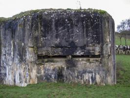 Ligne Maginot - 74 - LES FOURCHES - (Blockhaus lourd type STG / STG-FCR - Double) - Créneau d'observation