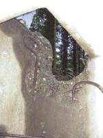 Ligne Maginot - SAINT DONAT - (Observatoire d'infanterie) - 