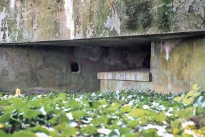 Ligne Maginot - AB10 - (Blockhaus pour canon) - Créneau et camouflage