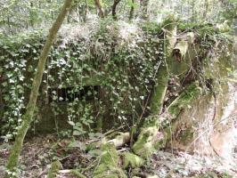 Ligne Maginot - BB42-B - (Blockhaus pour arme infanterie) - Un observatoire construit sommairement.