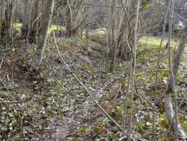 Ligne Maginot - 4B - LES ENTRECOURS NORD - (Blockhaus pour canon) - Tranché de 4B vers 5B