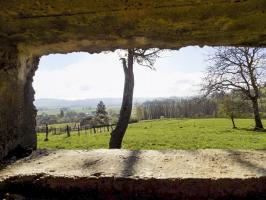 Ligne Maginot - 8C - AUTRECOURT SUD - (Blockhaus pour arme infanterie) - Vue du créneau Hotchkiss droite vers le sud-est