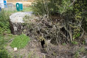 Ligne Maginot - 9C - PASSAGE à NIVEAU DE YONCK - (Blockhaus pour arme infanterie) - L'entrée