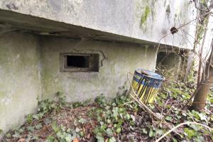 Ligne Maginot - 5 - SALMENKOPFGRUND (Blockhaus pour arme infanterie) - Vue générale