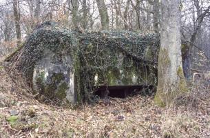 Ligne Maginot - UBERNIED 7 - (Blockhaus pour arme infanterie) - 