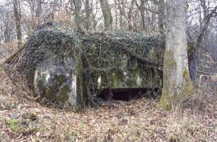 Ligne Maginot - UBERNIED 8 - (Blockhaus pour canon) - 