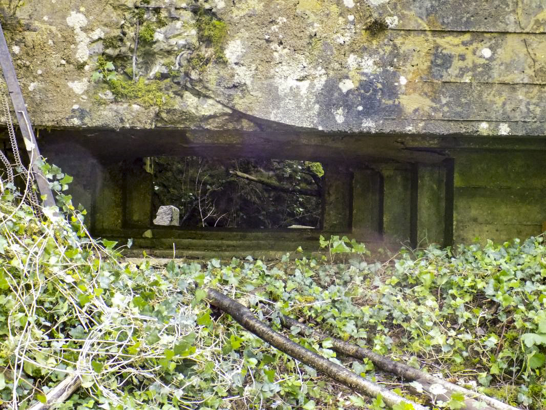 Ligne Maginot - 26A - RIMONNEAU OUEST - (Blockhaus pour canon) - Créneau AC