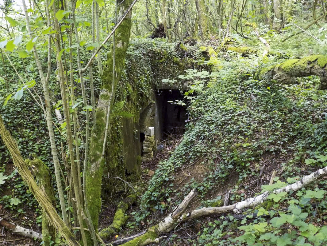 Ligne Maginot - 26A - RIMONNEAU OUEST - (Blockhaus pour canon) - Le tranchée du chemin vers l'entrée