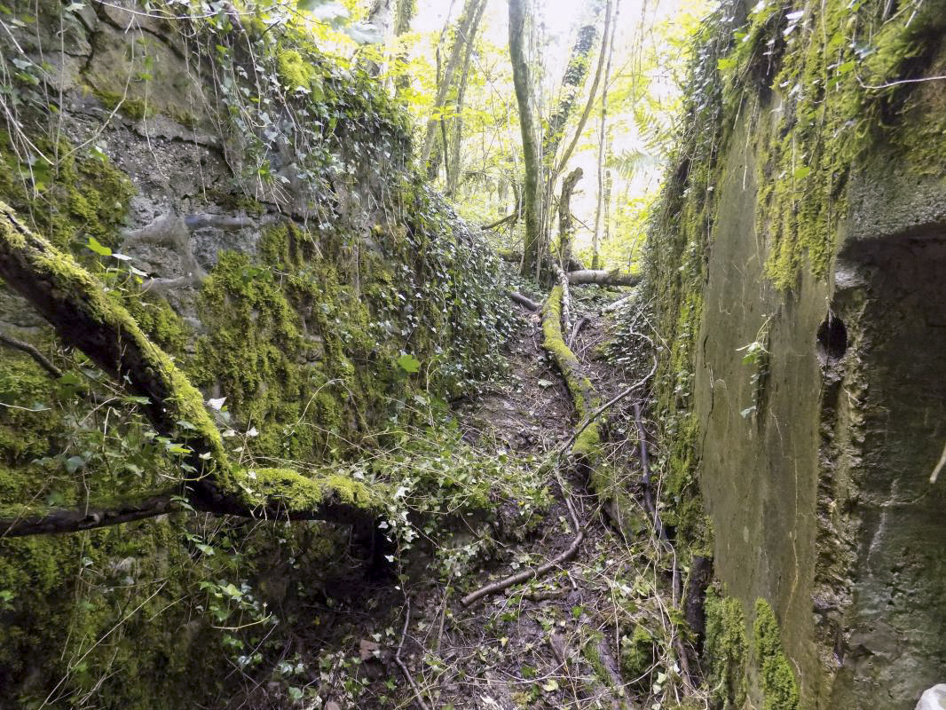 Ligne Maginot - 26A - RIMONNEAU OUEST - (Blockhaus pour canon) - Vue de l'entrée vers le tranchée