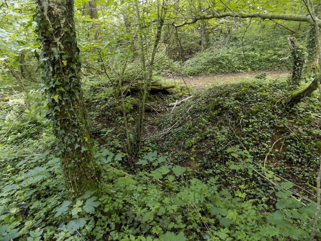 Ligne Maginot - 26A - RIMONNEAU OUEST - (Blockhaus pour canon) - Le tranchée du chemin vers l'entrée