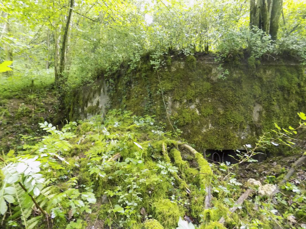 Ligne Maginot - 27A - RIMONNEAU EST - (Blockhaus pour canon) - Face frontale gauche