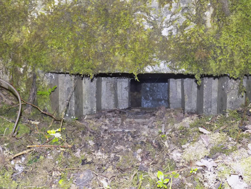 Ligne Maginot - 27A - RIMONNEAU EST - (Blockhaus pour canon) - Face frontale gauche, créneau Hotchkiss