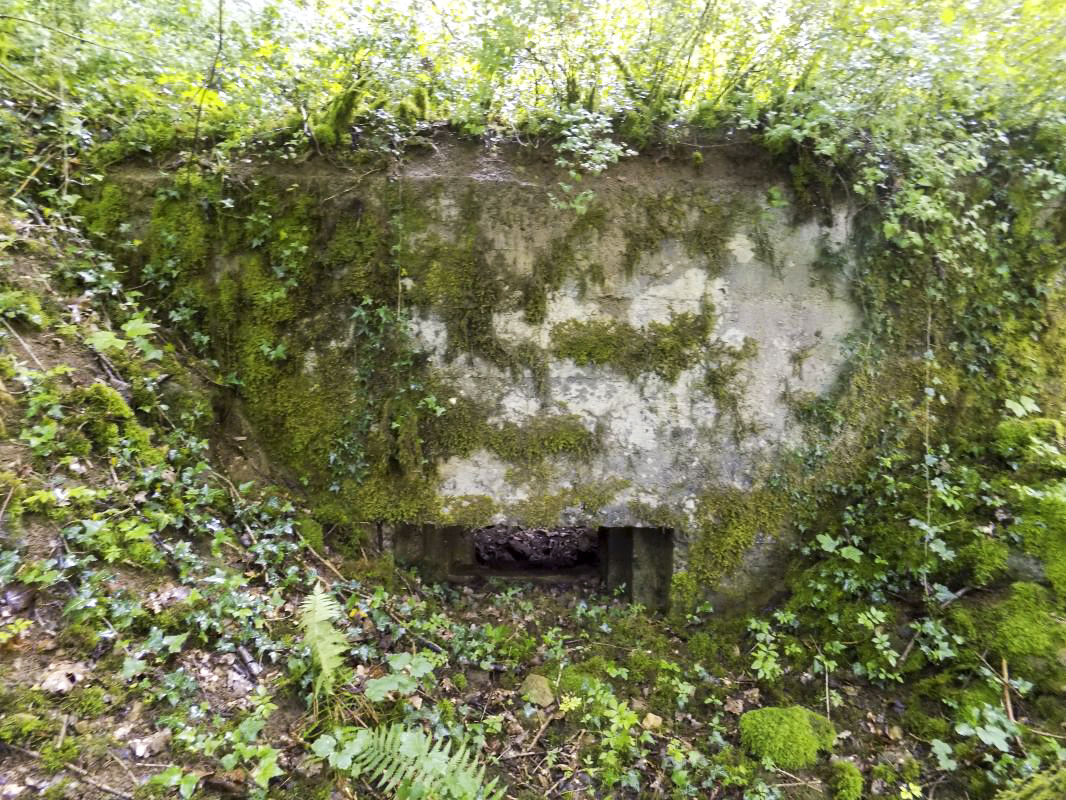 Ligne Maginot - 27A - RIMONNEAU EST - (Blockhaus pour canon) - Faces frontale droite