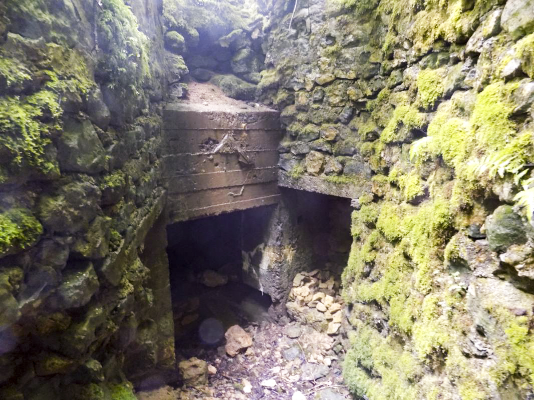 Ligne Maginot - 27A - RIMONNEAU EST - (Blockhaus pour canon) - L'entrée AC et deux recoins