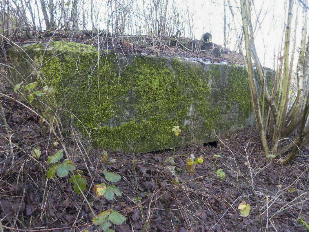 Ligne Maginot - BB77-E - LE LINHAT SUD - (Blockhaus pour arme infanterie) - 