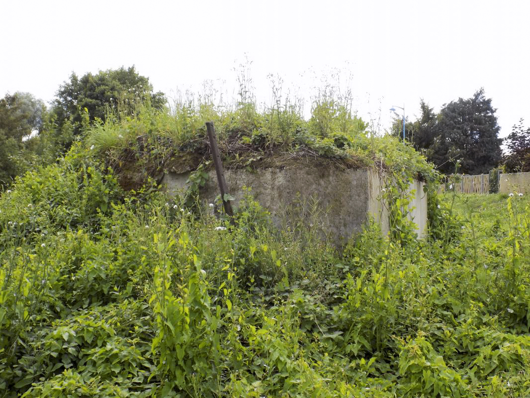 Ligne Maginot - BB78-C - GRANDE AYVELLE - (Blockhaus de type indéterminé) - Face gauche