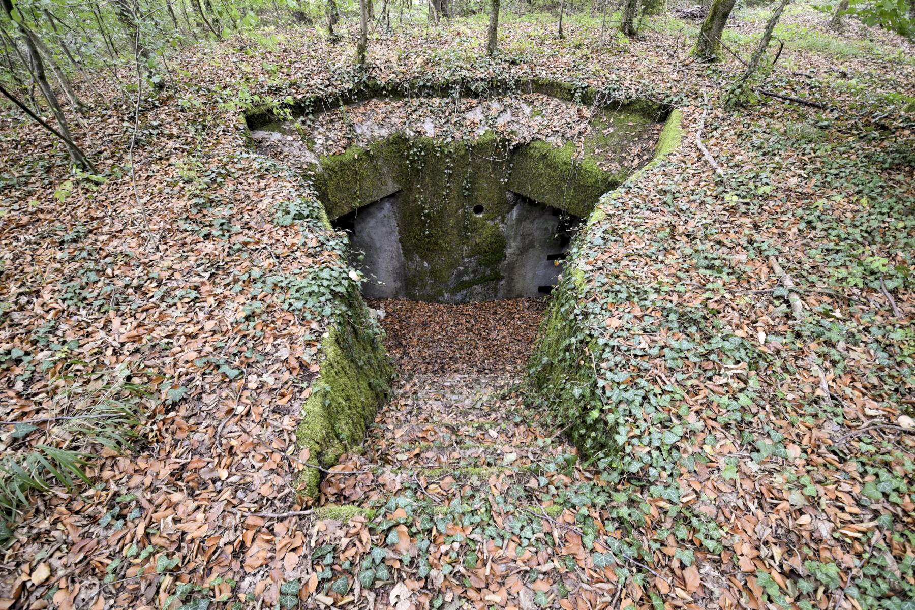 Ligne Maginot - STEINBESCH NORD - (Central téléphonique d'observation) - 