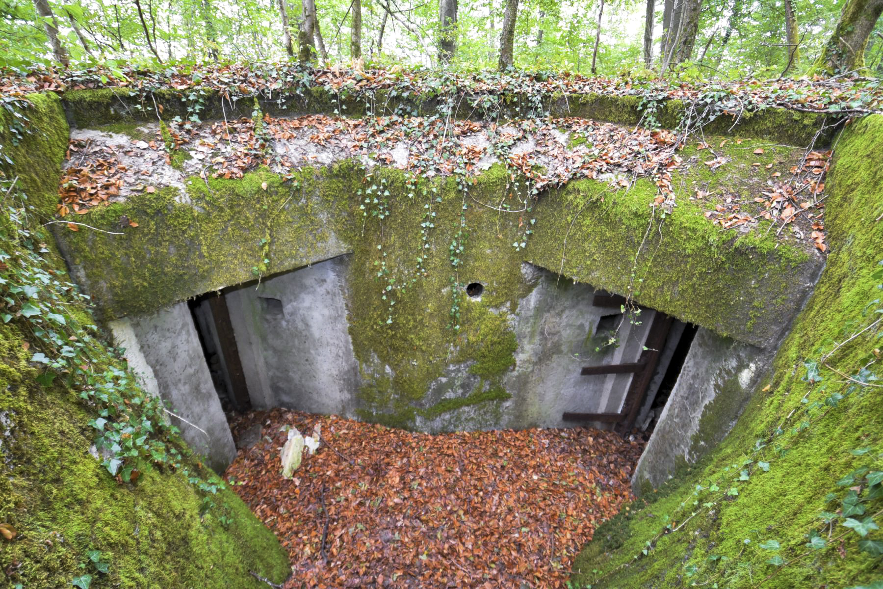 Ligne Maginot - STEINBESCH NORD - (Central téléphonique d'observation) - 