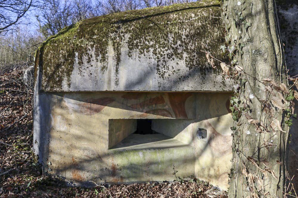 Ligne Maginot - AB9 - (Blockhaus pour arme infanterie) -            