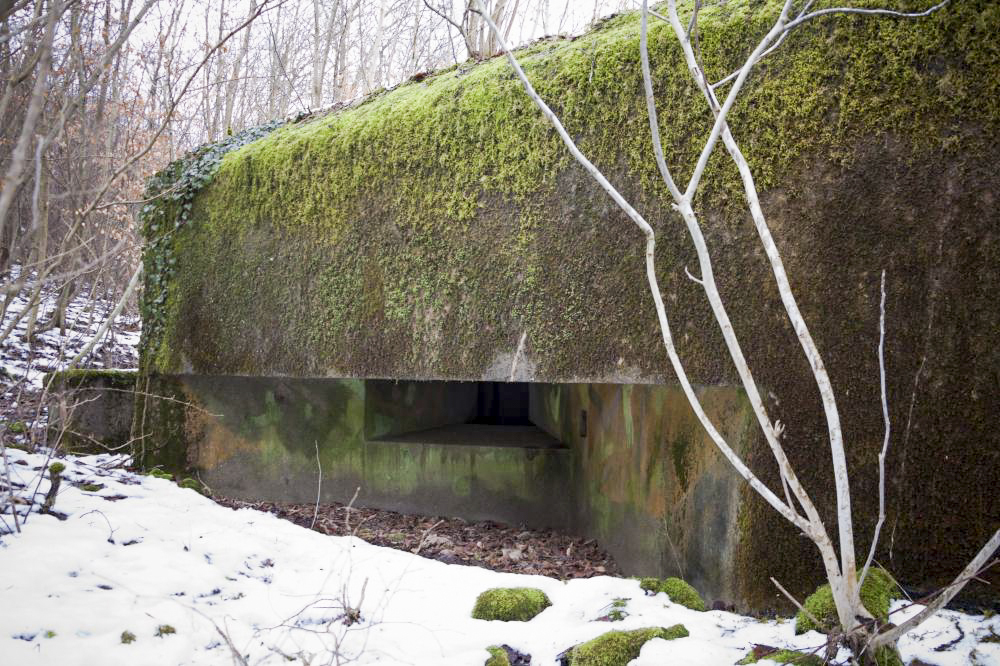 Ligne Maginot - AB12 - (Blockhaus pour canon) - Créneau latéral droit