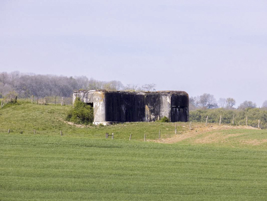 Ligne Maginot - A101BIS - TOURTRAY SUD - (Blockhaus lourd type STG / STG-FCR - Double) - Le blockhaus pris de l'est