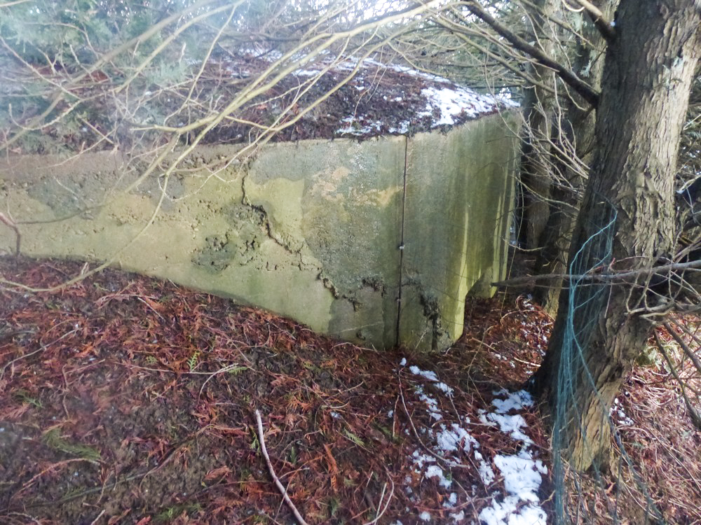 Ligne Maginot - BX - LA CROIX SIMON 2 - (Blockhaus pour canon) - La coté gauche encore visible. Il comporte un créneau pour mitrailleuse orienté au sud-ouest 