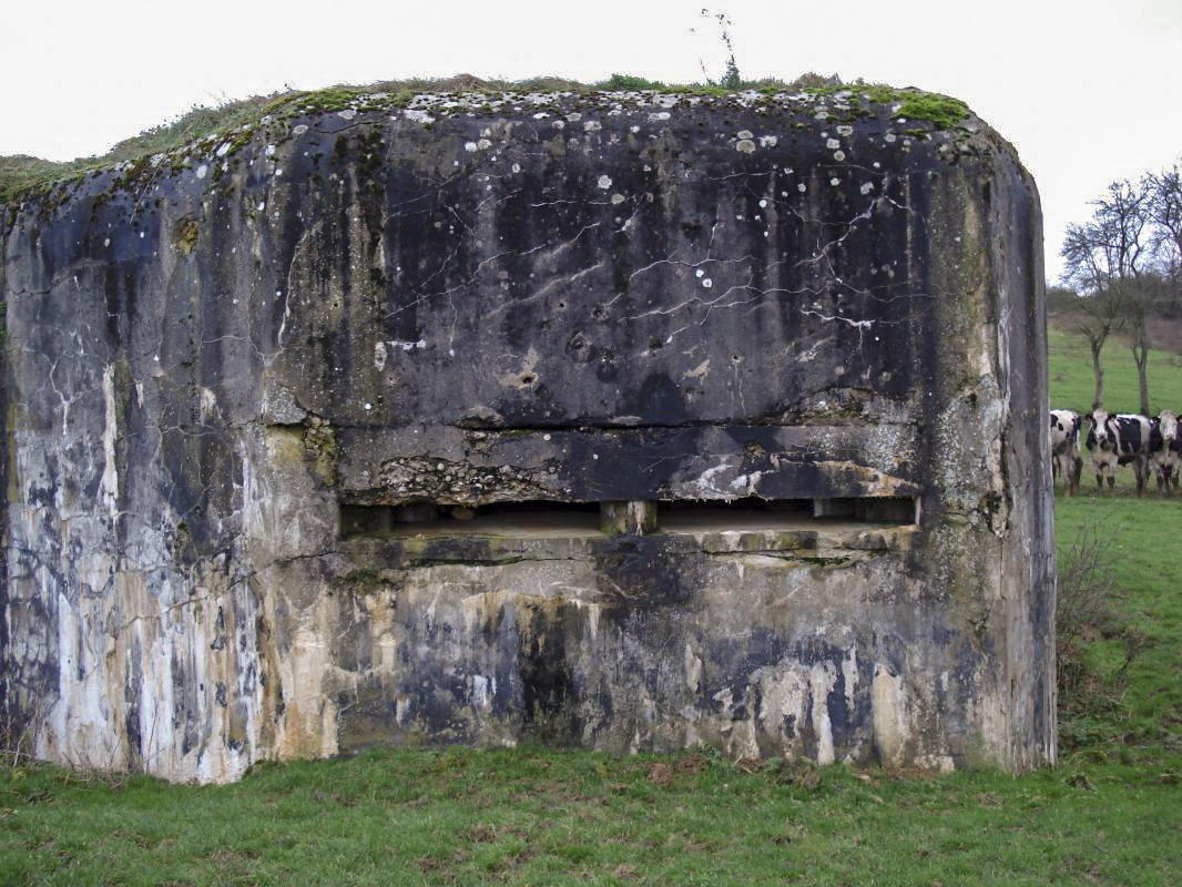 Ligne Maginot - 74 - LES FOURCHES - (Blockhaus lourd type STG / STG-FCR - Double) - Créneau d'observation