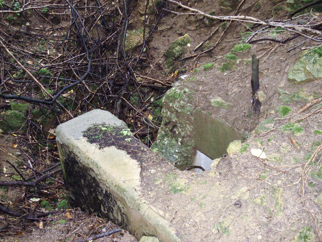 Ligne Maginot - SAINT DONAT - (Observatoire d'infanterie) - 