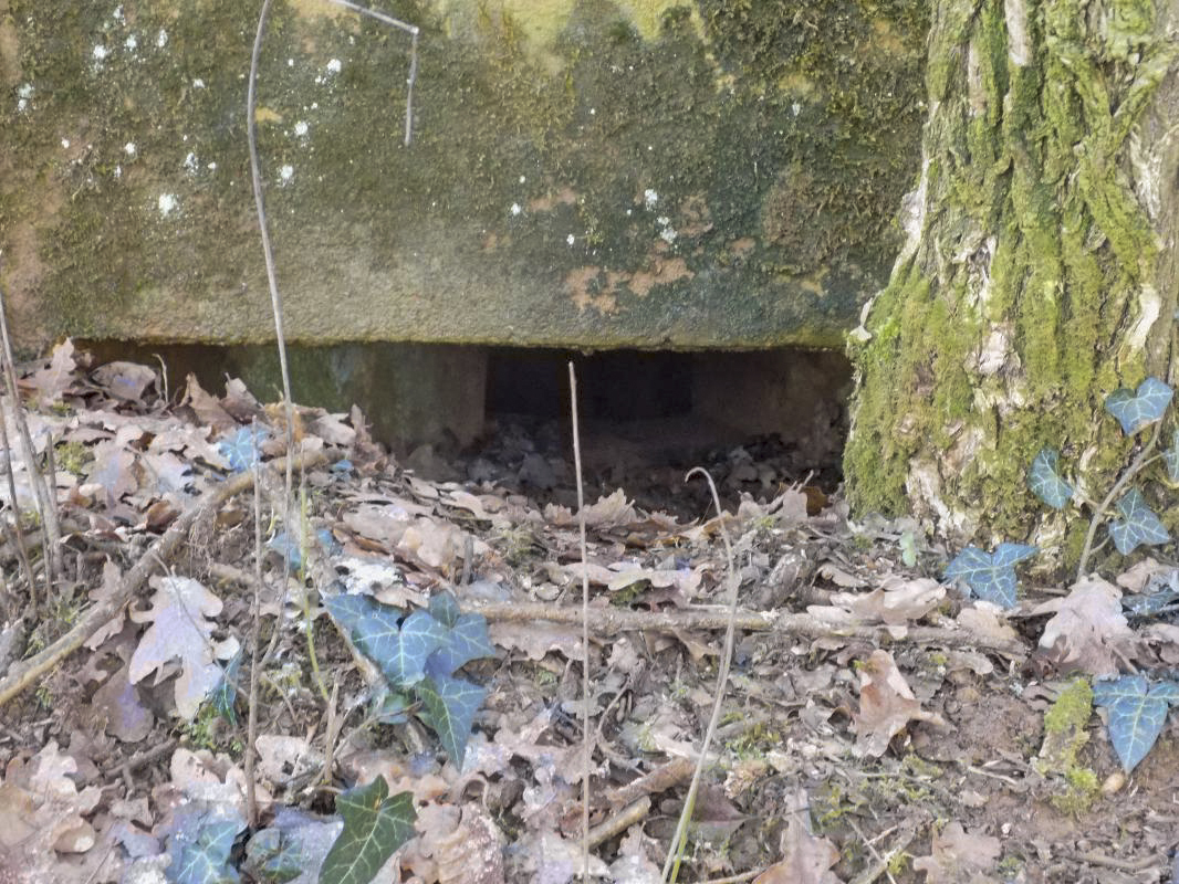 Ligne Maginot - 73BIS - LE CHENE - (Blockhaus pour arme infanterie) - Face gauche, créneau FM