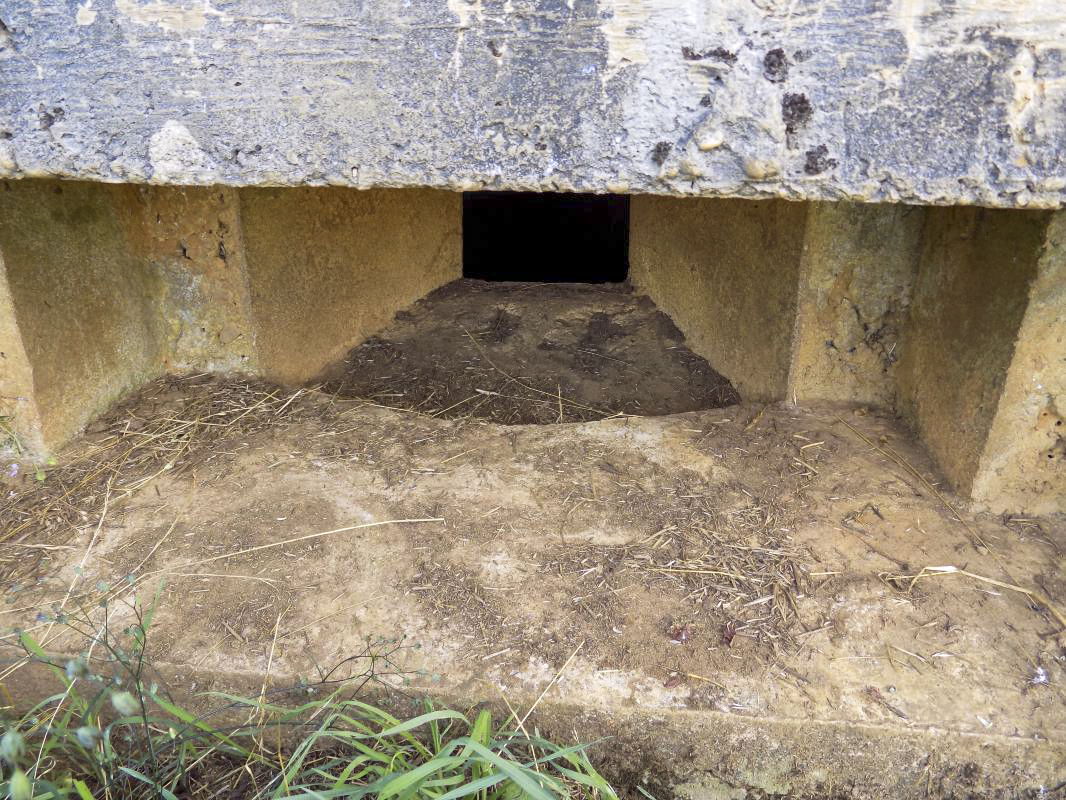 Ligne Maginot - 73 - LONGUES VOIES - (Blockhaus pour arme infanterie) - Créneau gauche détail; il semble pour FM, pas pour Hotchkiss (?)