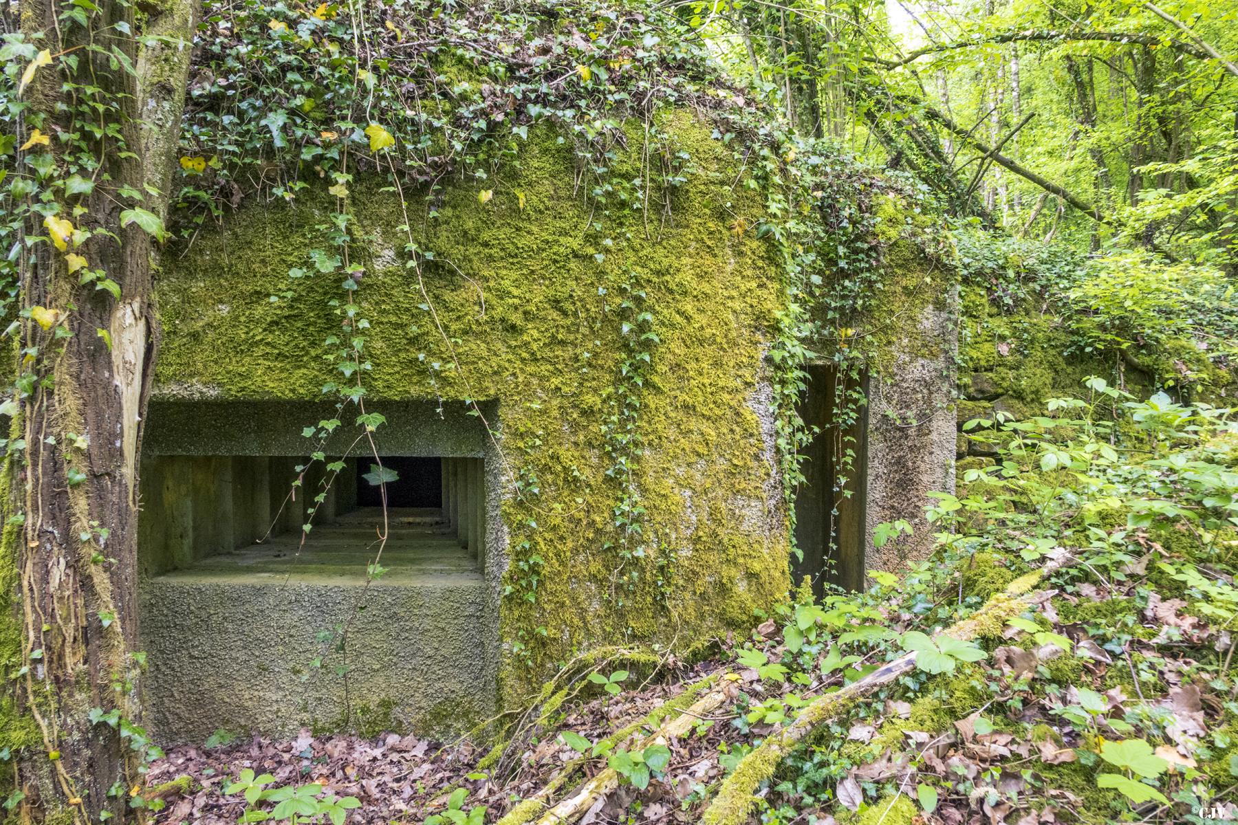 Ligne Maginot - J - LES OEUILLONS CENTRE - (Blockhaus pour arme infanterie) -                                     