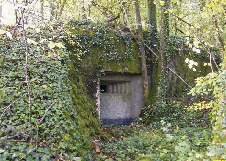 Ligne Maginot - J - LES OEUILLONS CENTRE - (Blockhaus pour arme infanterie) - 