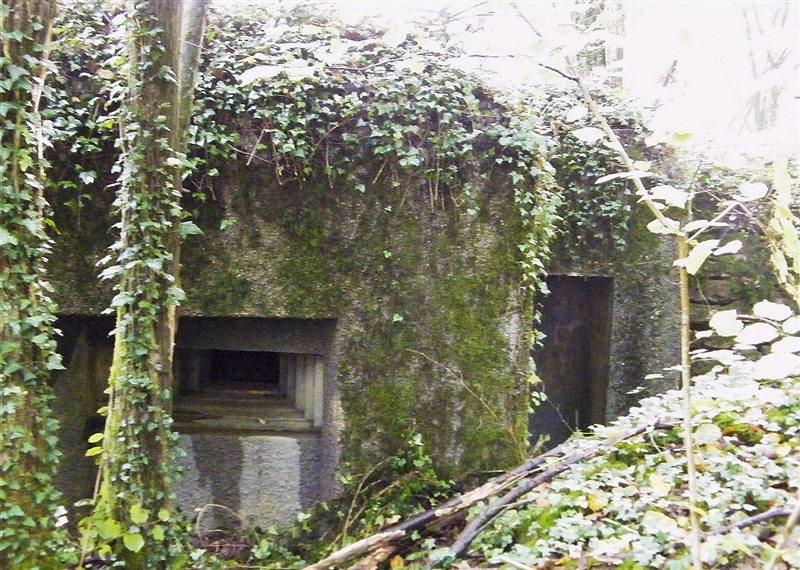 Ligne Maginot - J - LES OEUILLONS CENTRE - (Blockhaus pour arme infanterie) - 