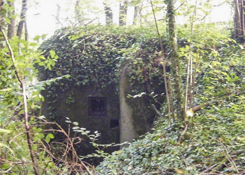 Ligne Maginot - J - LES OEUILLONS CENTRE - (Blockhaus pour arme infanterie) - 