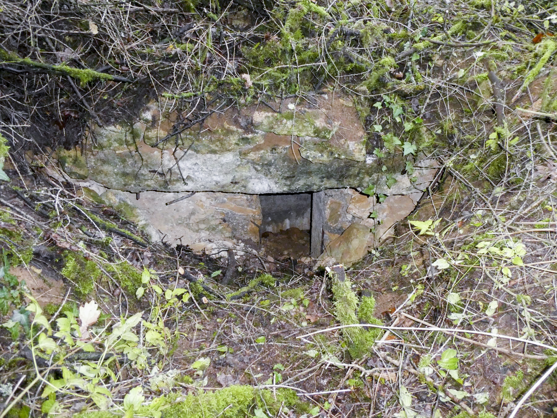 Ligne Maginot - LES OEUILLONS - (Observatoire d'infanterie) - L'entrée après nettoyage