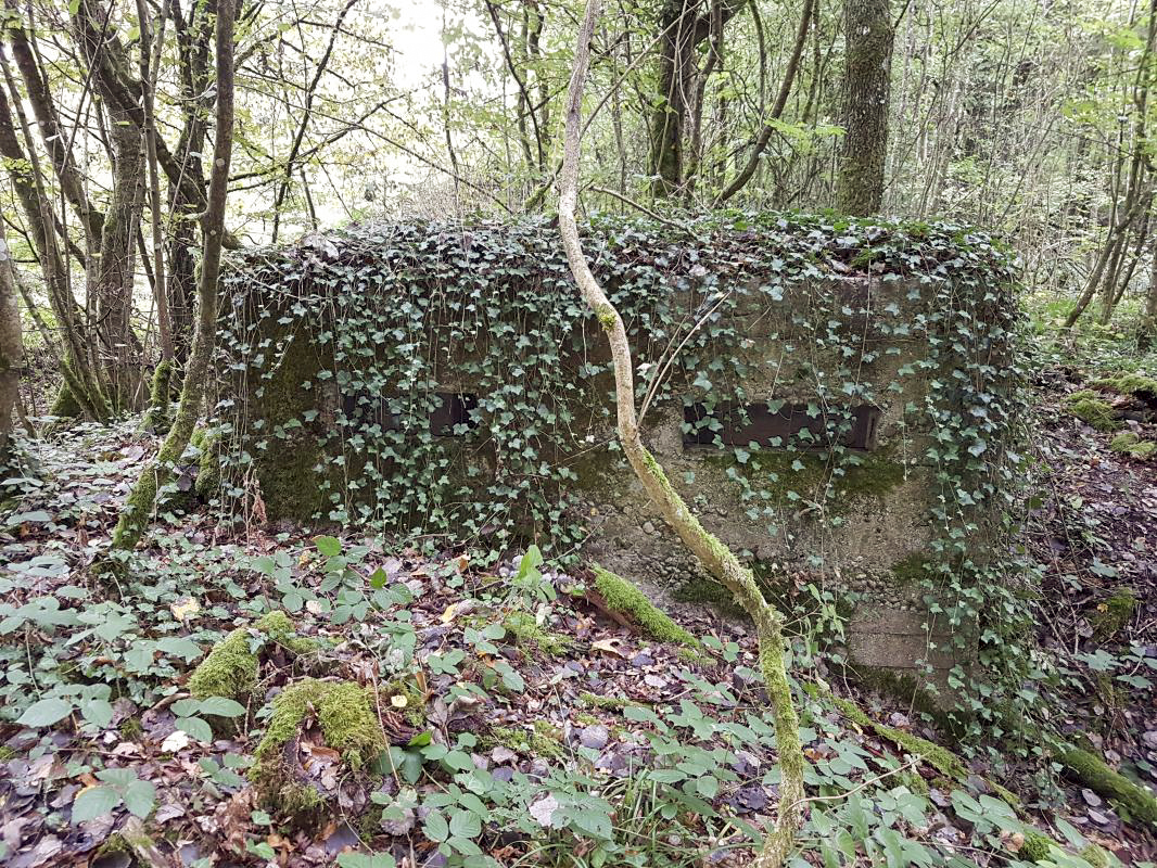 Ligne Maginot - BB42-B - (Blockhaus pour arme infanterie) - Se trouve devant le blockhaus Bb374