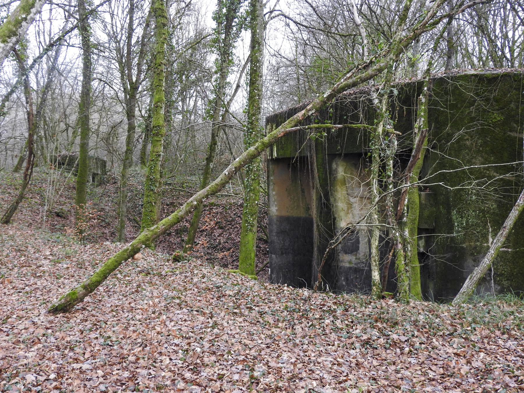 Ligne Maginot - BB42-B - (Blockhaus pour arme infanterie) - Cette photo permet de positionner le blockhaus Bb42-b (à gauche) par rapport au blockhaus Bb374.