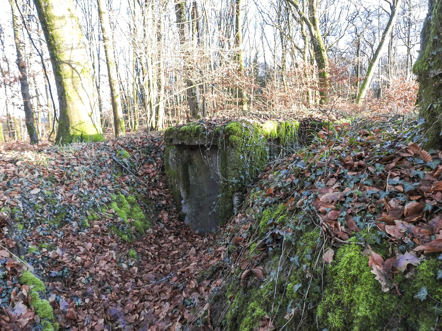 Ligne Maginot - Bb43-E (Blockhaus pour arme infanterie) - L'entrée du blockhaus.