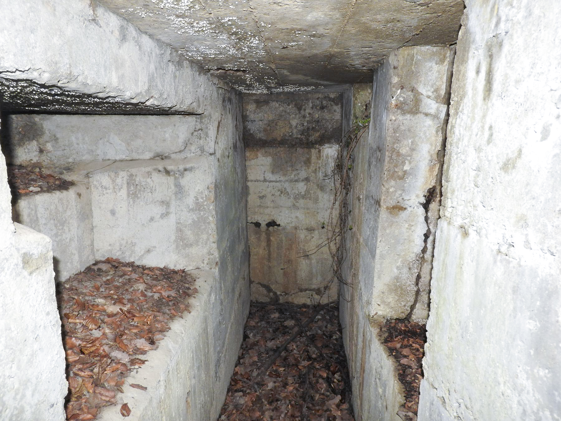 Ligne Maginot - Bb43-E (Blockhaus pour arme infanterie) - L'intérieur du blockhaus pour FM.