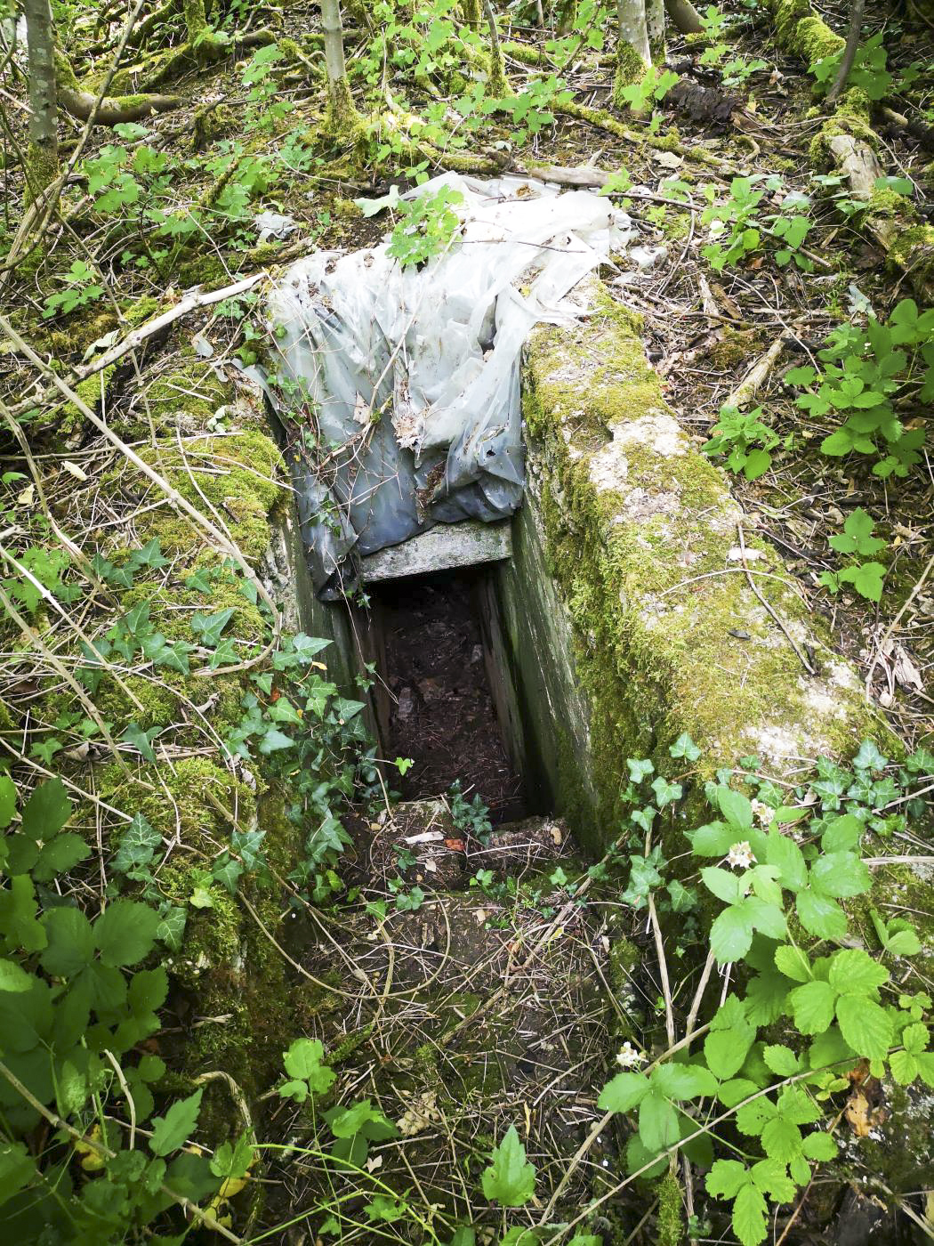 Ligne Maginot - LA FOURCHETTE - (Blockhaus pour arme infanterie) - Entrée n°1