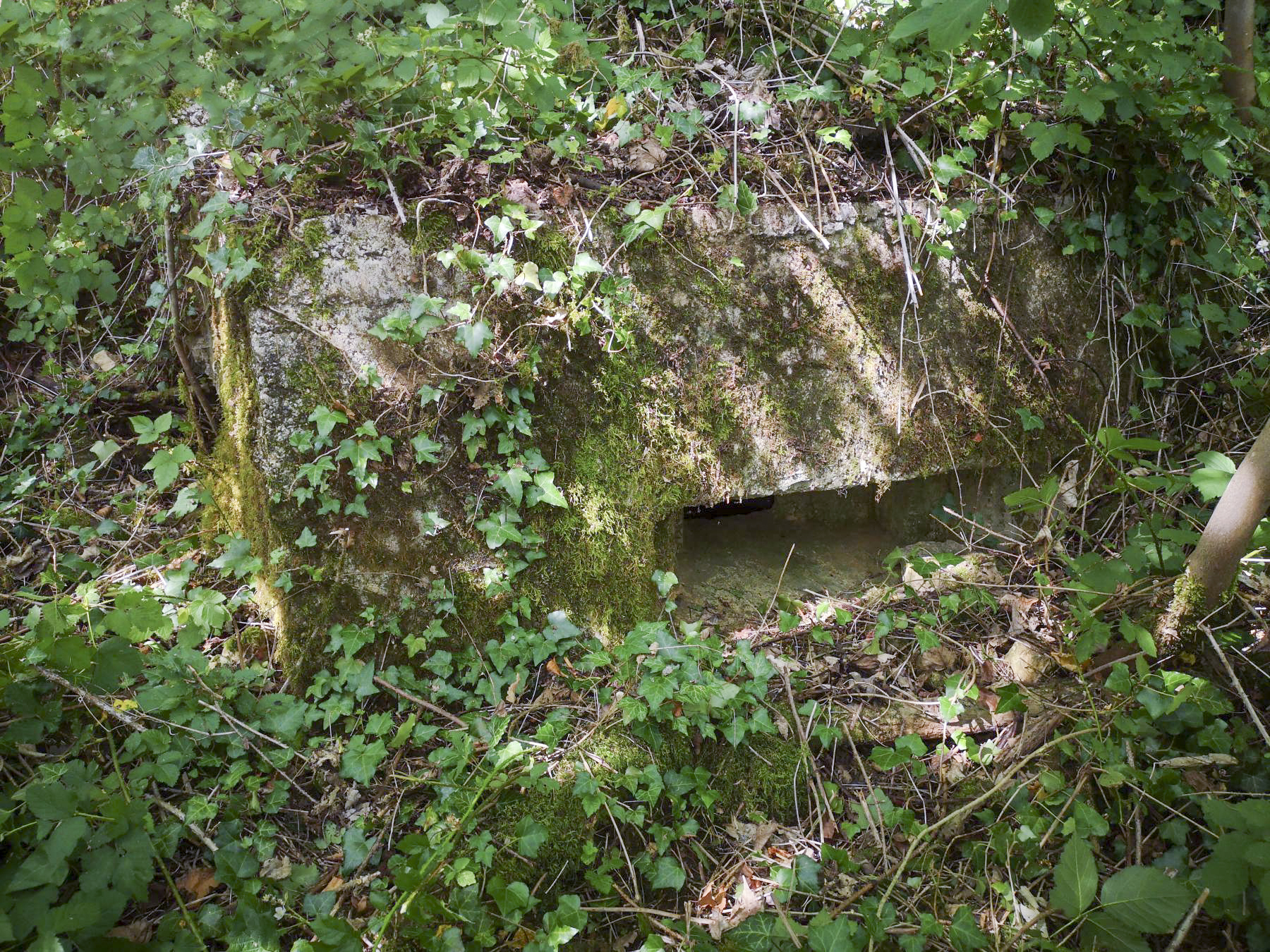 Ligne Maginot - LA FOURCHETTE - (Blockhaus pour arme infanterie) - Poste de mitrailleuse de droite