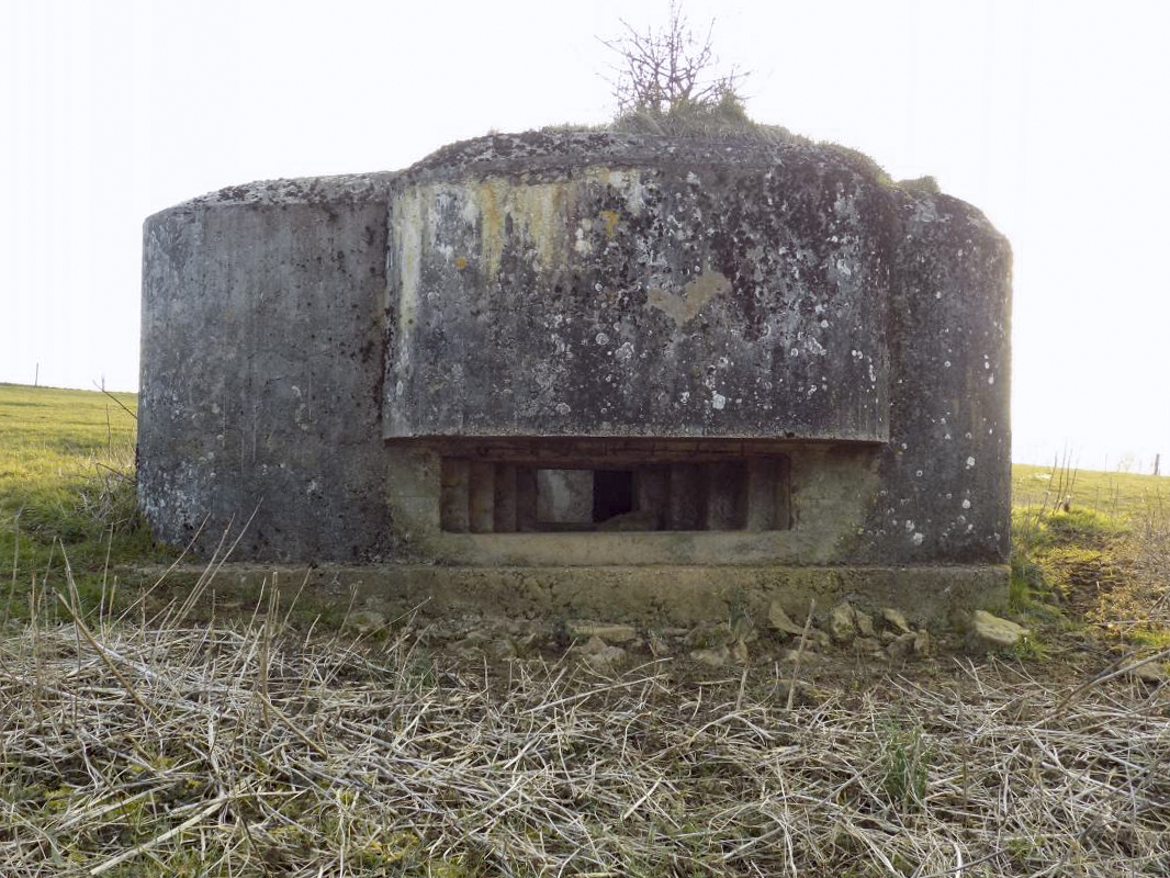 Ligne Maginot - 1B - VAUX LES MOUZON EST - (Blockhaus pour canon) - Face est