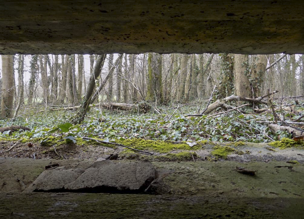 Ligne Maginot - 4B - LES ENTRECOURS NORD - (Blockhaus pour canon) - Vue du créneau AC