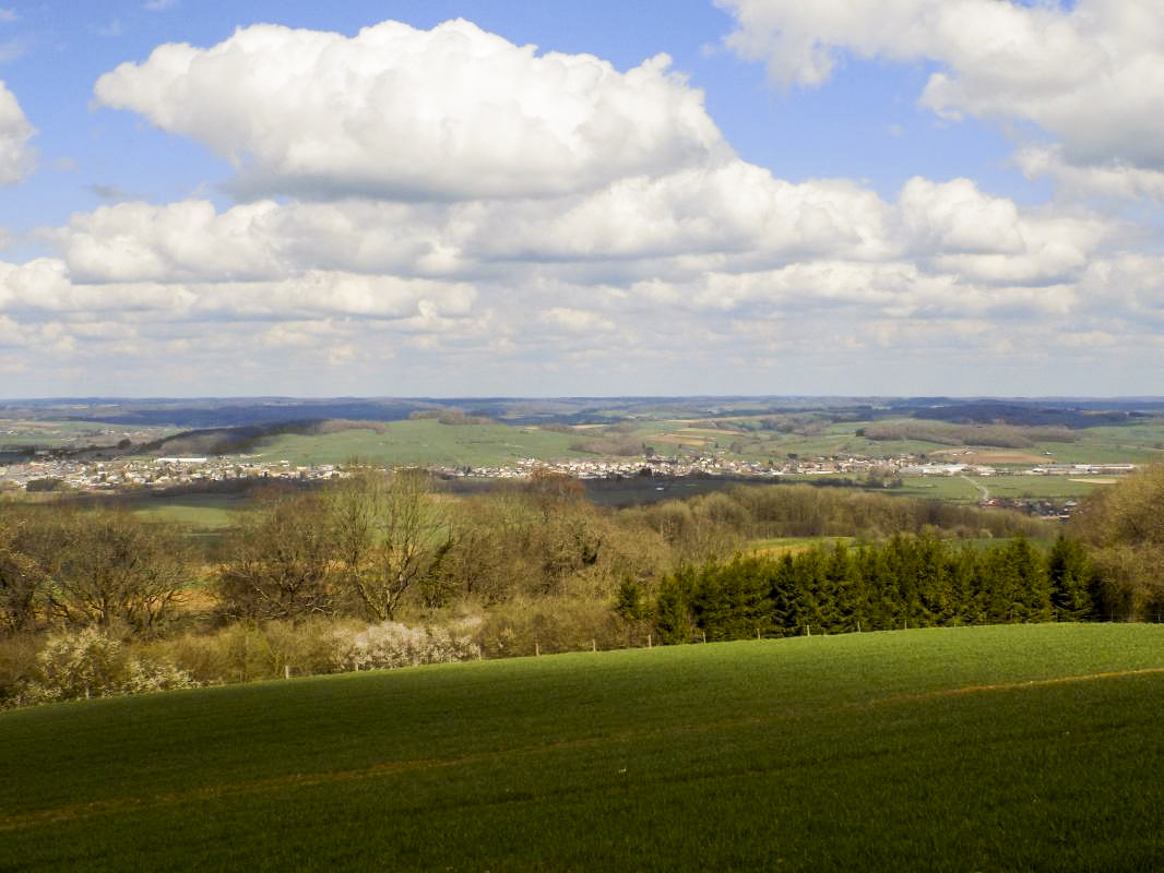 Ligne Maginot - LA MAGNE - (Observatoire d'infanterie) - Vue du face frontale vers Carignan/Blagny