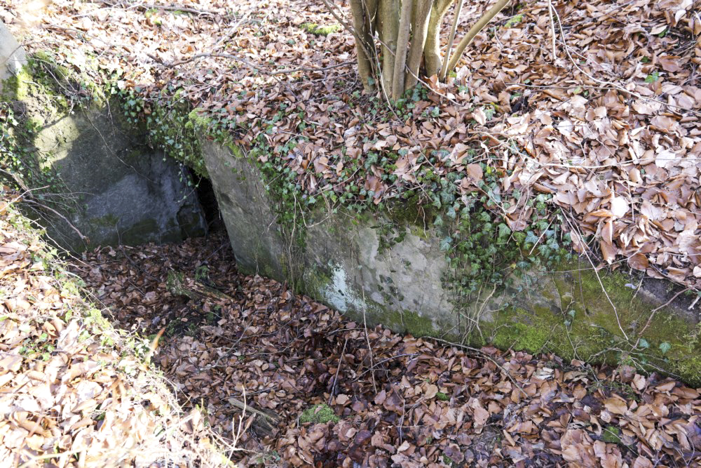 Ligne Maginot - OELMUEHLE (3° CIE I/156° RIF) - (PC de Sous-Quartier) - 