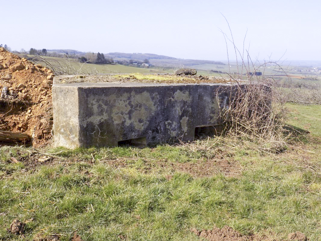 Ligne Maginot - 10A - LE CHENELET NORD - (Blockhaus pour canon) - Face l'est