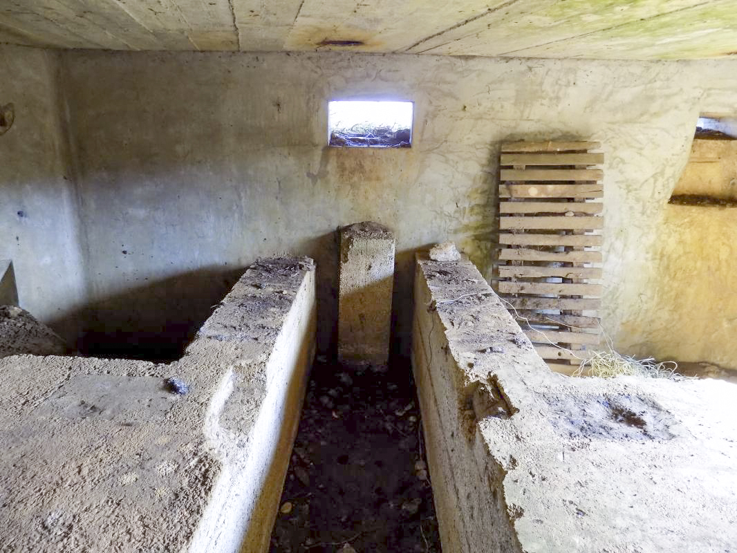 Ligne Maginot - 10A - LE CHENELET NORD - (Blockhaus pour canon) - Créneau AC, vers l'est