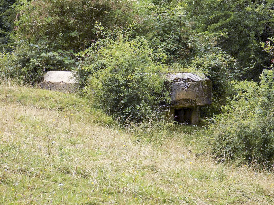 Ligne Maginot - 10C - CHATEAU D'AUTRECOURT - (Blockhaus pour arme infanterie) - Pris de l'est