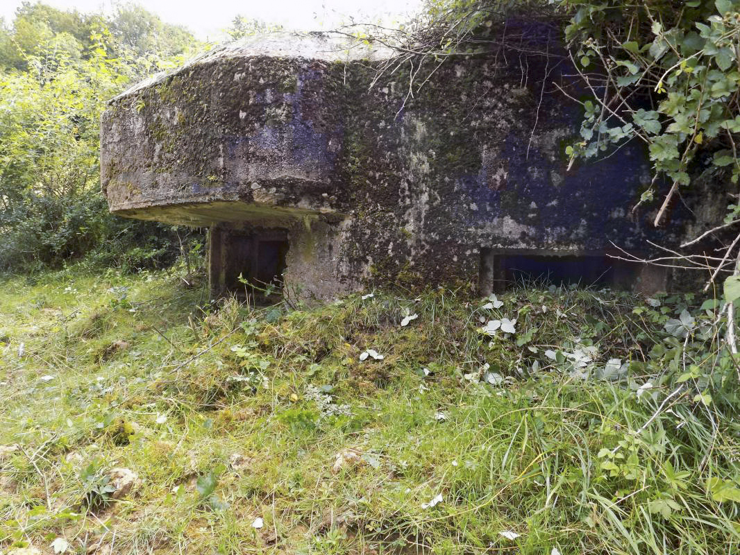 Ligne Maginot - 10C - CHATEAU D'AUTRECOURT - (Blockhaus pour arme infanterie) - Faces frontale et gauche